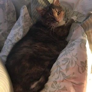 Meet your Posher, Nancy